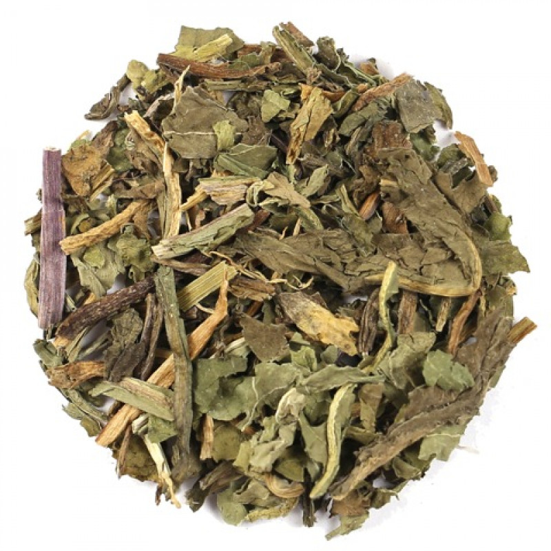 Echinacea