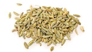 Fennel