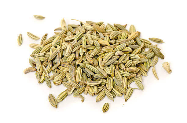 Fennel